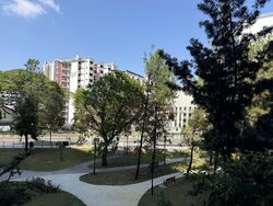 Blk 12 TOA PAYOH COURT (Toa Payoh), HDB 3 Rooms #542295721